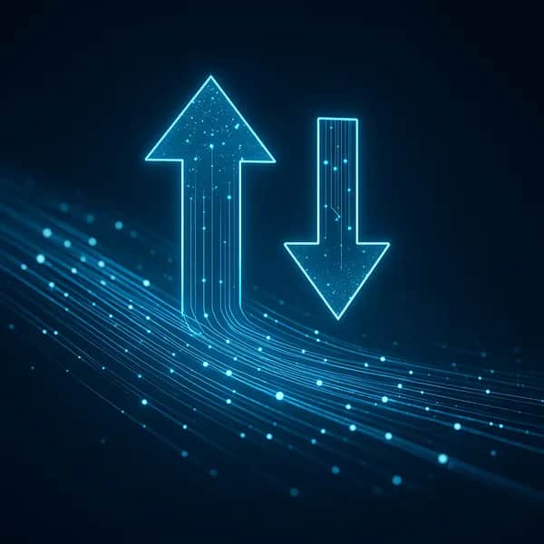 Dowload, Upload Business Internet